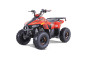 MUDHAWK de Tao Motor - Automatique 110cc - VTT 4 Saisons