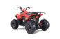 Atv TAO MOTORS the MUDHAWK 110cc - 4 Saison