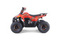 Atv TAO MOTORS the MUDHAWK 110cc - 4 Saison