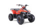 Atv TAO MOTORS the MUDHAWK 110cc - 4 Saison