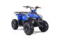 Atv TAO MOTORS the MUDHAWK 110cc - 4 Saison